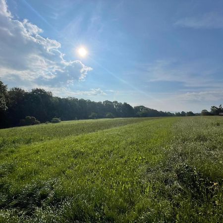 Tinyhaus #1 Huelben - Ortsrand - Kostenlose Parkplaetze Hulben Buitenkant foto